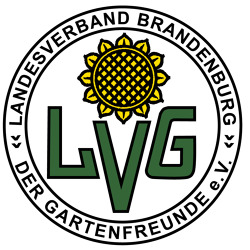 BDG informiert 07/2022
