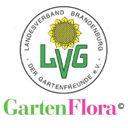 Verbandsinformationen Brandenburger GartenFlora 11/2022