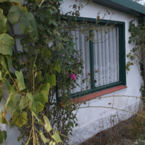 Freie G&auml;rten in Unser Hobby e.V. Premnitz